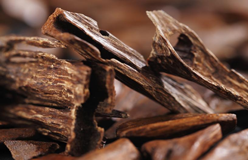 tác dụng của trầm hương